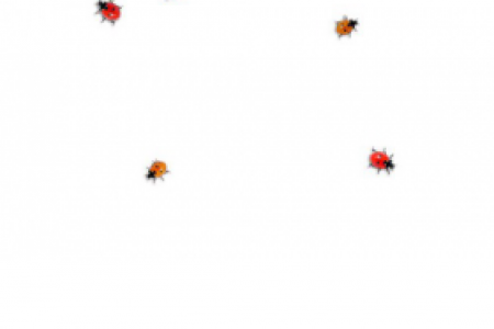 【Ladybug on desktop】免费Ladybug on desktop软件下载