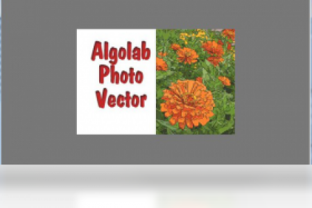 【algolab photo vector】免费algolab photo vector软件下载